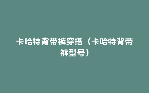 卡哈特背带裤穿搭（卡哈特背带裤型号）