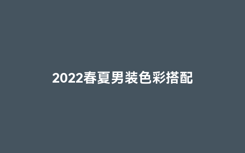 2022春夏男装色彩搭配