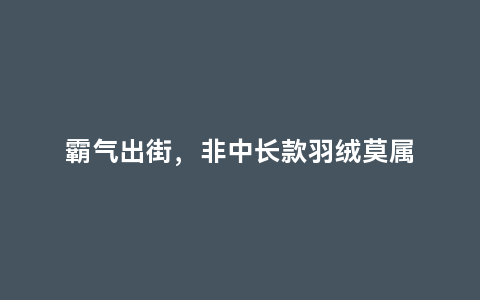 霸气出街，非中长款羽绒莫属