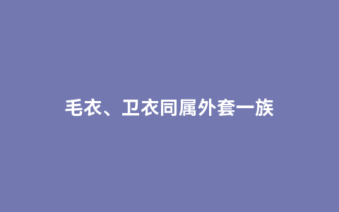 毛衣、卫衣同属外套一族