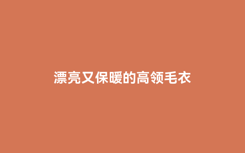 漂亮又保暖的高领毛衣