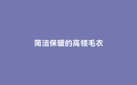 简洁保暖的高领毛衣