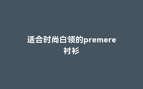 适合时尚白领的premere衬衫